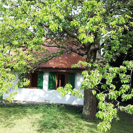 בית נופש Weinberghaus Panoramablick
